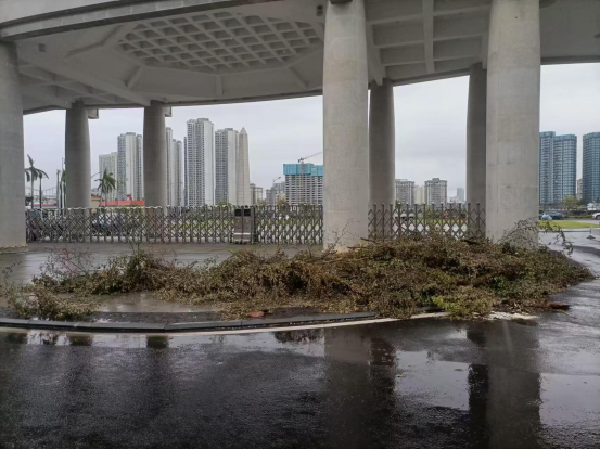 熊猫体育指定入口